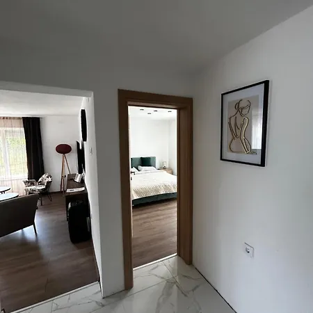 Fina * Laktaši